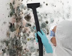 Reliable Ofallon, IL Mold Removal Solutions